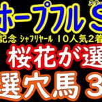 ホープフルステークス2024桜花が選ぶ厳選穴馬３頭！有馬記念2024はシャフリヤールを推奨し今秋のＧ１で推奨穴馬が９レースも絡んだ！最後はとんでもない爆弾穴馬が一頭隠れている！