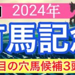 【有馬記念2024】蓮の競馬予想(穴馬3頭)