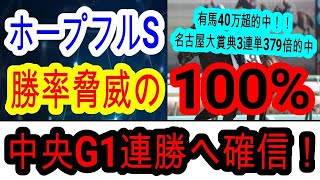 【競馬予想】ホープフルステークス2024　先週40万超の完全的中！　中山2000mで激走する想定14番人気馬がアツい！！