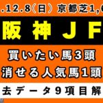 【阪神ジュベナイルフィリーズ2024】過去データ9項目解析!!買いたい馬3頭と消せる人気馬1頭について(競馬予想)