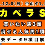 【カペラステークス2024】過去データ9項目解析!!買いたい馬3頭と消せる人気馬1頭について(競馬予想)