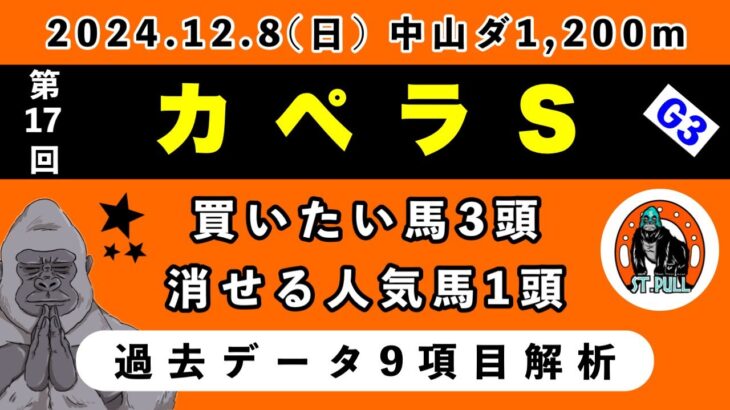 【カペラステークス2024】過去データ9項目解析!!買いたい馬3頭と消せる人気馬1頭について(競馬予想)