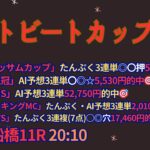 ハートビートカップ2024予想【船橋競馬】AI予想＋調教診断＋買い目