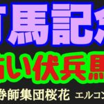 エルコンドル氏の有馬記念2024怖い伏兵馬！！G1連勝そしてファン投票一位で断然人気のドウデュースだが！コース替わりと非根幹距離の適性等で巻き返しする馬もいるのでは！？