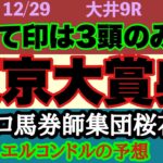 エルコンドル氏の東京大賞典2024予想！！中央のG1レースは終わったがまだ東京大賞典がある！フォーエバーヤングを果たして負かせる馬はいるか！？