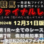 『2024年の最終決戦！ユメノかガルボかそれ以外か？』Mrファイナルレースの高知競馬予想20241231版