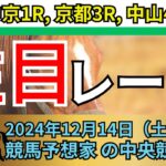 【中央競馬 2024】土曜競馬のPick Upレース🏇【競馬予想】