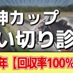 追い切り徹底解説！【阪神カップ2024】ナムラクレア、ウインマーベルなどの状態はどうか？調教S評価は2頭！