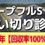 追い切り徹底解説！【ホープフルステークス2024】クロワデュノール、マスカレードボールなどの状態はどうか？調教S評価は2頭！