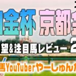 【新春】中山金杯&京都金杯 2025 展望！出走が予想される注目馬を中心にレースのポイントを解説！【YouTuberやーしゅん 競馬予想のポイント解説／スポナビ競馬】