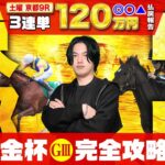 【2025京都金杯＆中山金杯】年明けから大混戦G3×2発！ハンデG3の完全攻略はkotaに任せろ！