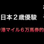 【競馬予想】　地方交流重賞　全日本2歳優駿　2024  予想