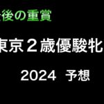 【競馬予想】　地方重賞　東京2歳優駿牝馬　2024  予想