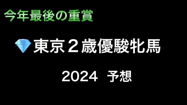 【競馬予想】　地方重賞　東京2歳優駿牝馬　2024  予想