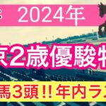 【東京2歳優駿牝馬2024】蓮の地方競馬予想