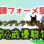 東京2歳優駿牝馬　2024年最後の競馬予想