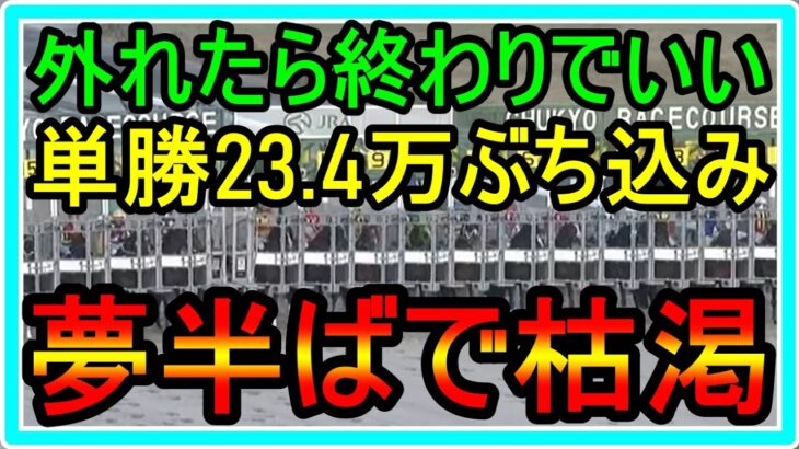 【競馬】トーマスの転落人生。もうこれ外れ終わりでいい。あの因縁の馬に単勝23.4万ぶち込み！