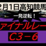 【競馬予想】ファイナルレースC３－６！～２０２４年１２月１日 高知競馬場 ：１２－２