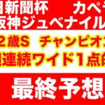 【競馬予想】２０２４　阪神ジュベナイルF  中日新聞杯　カペラS　 最終予想