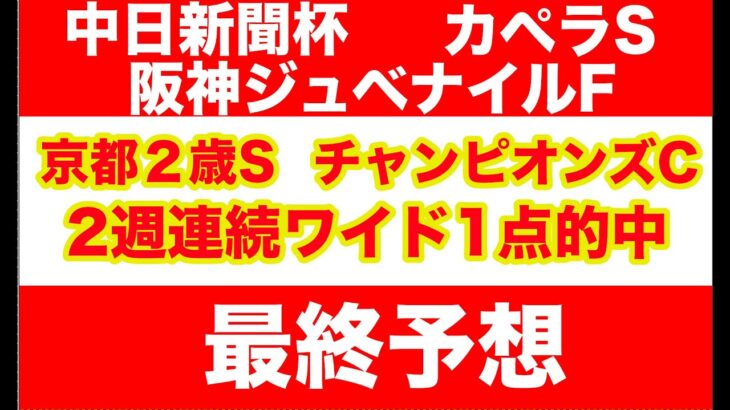 【競馬予想】２０２４　阪神ジュベナイルF  中日新聞杯　カペラS　 最終予想