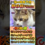 【ネコの競馬予想😸】朝日杯FS2024🐈秋9戦4的中🎯絶好調！とんでもない大穴を選んでくれましたｗｗｗ＃shorts＃かわいい＃コント君の競馬予想＃当たる＃競馬＃猫＃義経TV