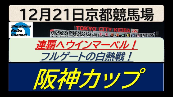 【競馬予想】GⅡ阪神カップ！～２０２４年１２月２１日 京都競馬場 ：１２－２２