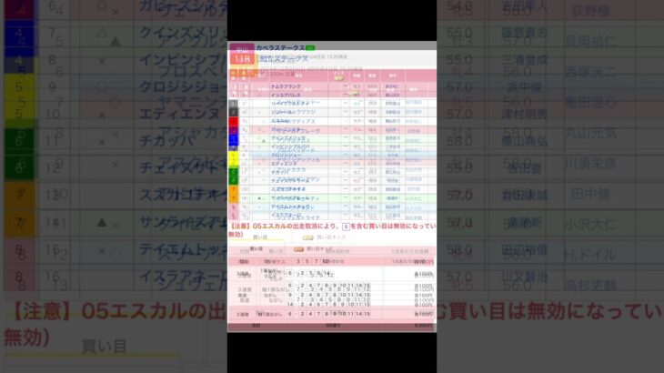 日曜競馬予想！ 阪神ジュベナイルフィリーズ（G1） カペラステークス（G3） 知床ステークス を予想します #競馬 #予想 #競馬予想 #買い目 #京都 #中山 #中京 #競馬場 #shorts