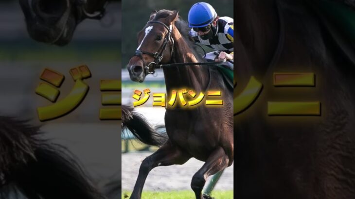 G1ホープフルステークスの穴馬3頭を紹介＃競馬＃競馬予想＃ピコチャンブラック＃ジョバンニ＃ヤマニンブークリエ