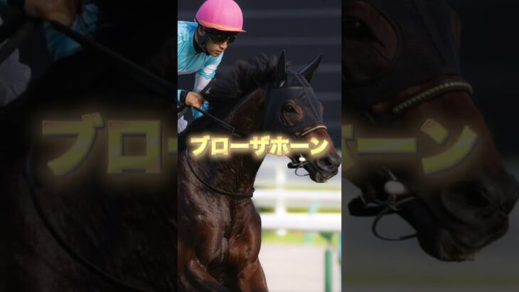 G1有馬記念の穴馬3頭を紹介＃競馬＃競馬予想＃ジャスティンパレス＃ブローザホーン＃シャフリヤール