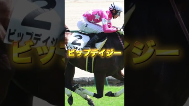 G1阪神JFの穴馬３頭を紹介＃競馬＃競馬予想＃阪神ジュベナイルフィリーズ＃アルマヴェローチェ＃ビップデイジー＃リリーフィールド