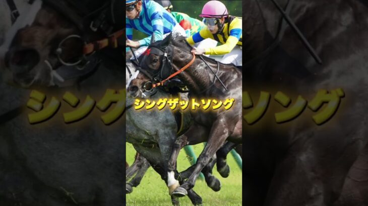 G3ターコイズSの穴馬３頭を紹介＃競馬＃競馬予想＃穴馬＃イフェイオン＃シングザットソング＃ワイドラトゥール