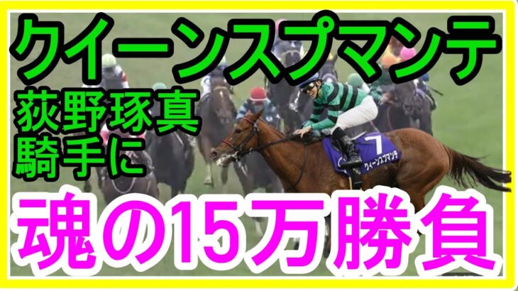 【競馬】トーマスの転落人生。とにかく京都は外しか伸びない異常馬場！外、外、外、外に出せよ！！！クイーンスプマンテJに魂の15万勝負！