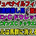 【競馬予想】阪神JF　ルメールは馬群に消える　２週連続推し馬　激走中　ジャパンC ドウレッツアー　チャンピオンズC ヅラエレーデ　ルメールは馬群に消える