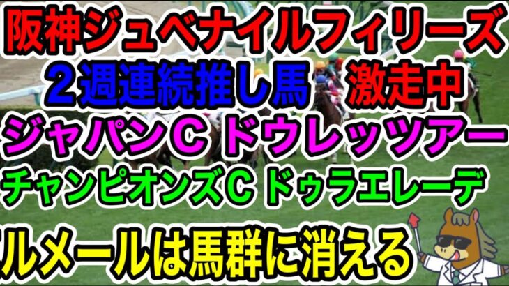 【競馬予想】阪神JF　ルメールは馬群に消える　２週連続推し馬　激走中　ジャパンC ドウレッツアー　チャンピオンズC ヅラエレーデ　ルメールは馬群に消える