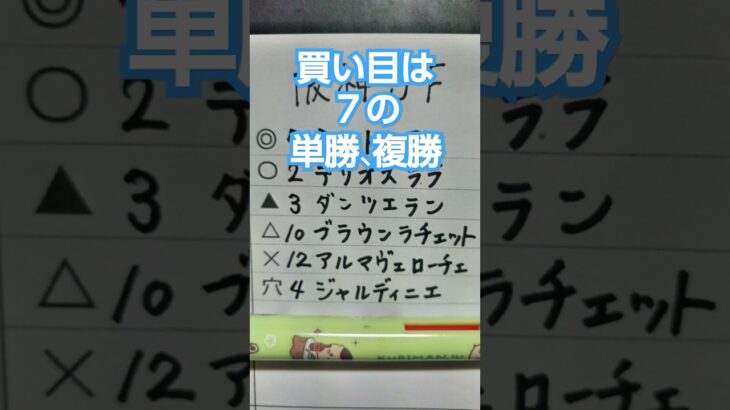 阪神JF予想　#阪神JF　#阪神ジュベナイルフィリーズ　#競馬　#競馬予想　#中央競馬　#中央競馬予想　#G1　#JRA