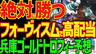 【兵庫ゴールドトロフィー予想】高配当狙えます！サンライズホーク、エートラックスのJRA勢は斤量が重すぎで人気を吸う出汁！人気薄の地方馬狙い！2024年兵庫GT予想動画【競馬ゆっくり】【私の競馬論】