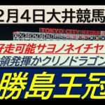 【競馬予想】SⅡ勝島王冠！～２０２４年１２月４日 大井競馬場 ：１２－８