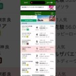 ターコイズS 2024 距離適性馬を!！#競馬予想