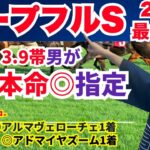 【ホープフルS 2024】本命は誰もがノーマークの「2桁人気馬」を抜擢！2歳GI連勝中の覆面馬主7号の最終結論。