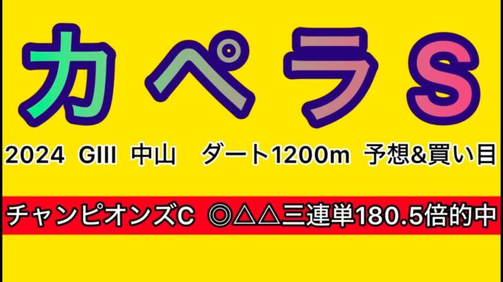 【競馬予想 カペラS 2024】予想&買い目　カペラSの予想&買い目を発表！