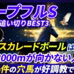 【ホープフルS】マスカレードボールの不穏な調整過程と絶好条件で挑む穴馬