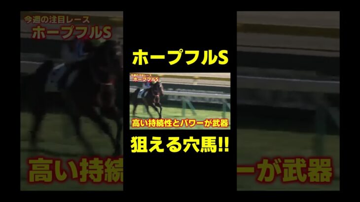 ホープフルSで狙える穴馬 ジュタ 　#競馬 #競馬予想 #ホープフルs #ホープフルステークス