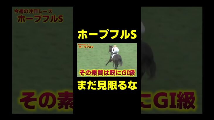 クロワデュノールを倒すとしたら？ ホープフルS  #競馬 #競馬予想 #ホープフルステークス #ホープフルs