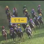 朝日フューチュリティS京都攻略編・総括 #競馬予想 #shots #short #朝日フューチュリティ