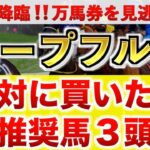 【ホープフルS2024 予想】アマキヒ過去最高のデキ？プロが”全頭診断”から導く絶好の3頭！