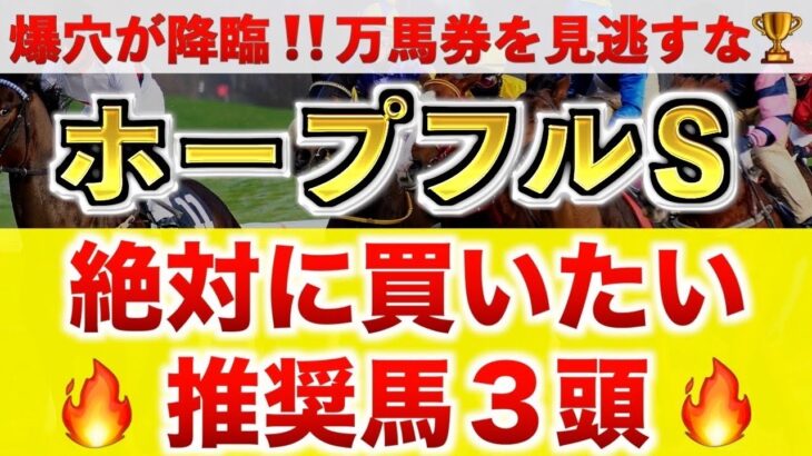 【ホープフルS2024 予想】アマキヒ過去最高のデキ？プロが”全頭診断”から導く絶好の3頭！