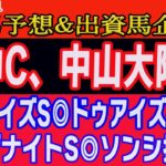 【 阪神カップ、中山大障害S2024 予想 】土曜日の競馬予想、出資馬企画！先週、ターコイズS◎ドゥアイズ、ディセンバーS◎エコロヴァルツ、タンザナイトS◎ソンシ推奨！明日、勝つのは馬だ！