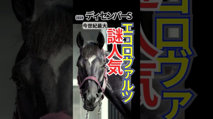 【危険馬】ディセンバーS2024 エコロヴァルツ　#shorts #エコロヴァルツ #競馬予想