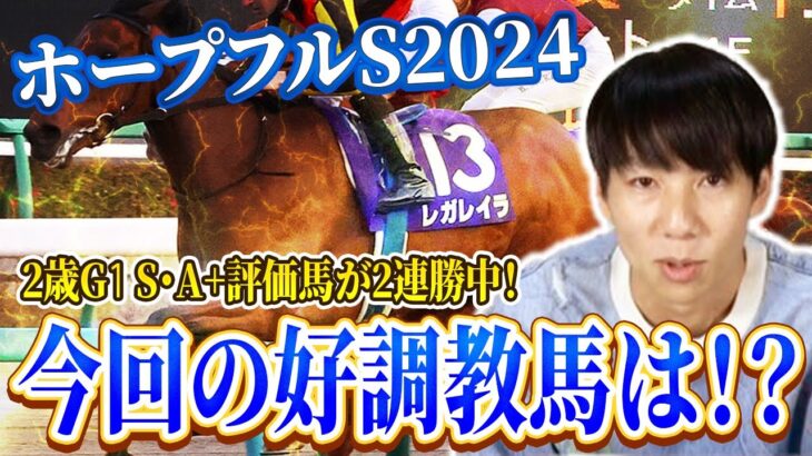 【ホープフルS2024予想】2024年ラストでもうひと勝負！S評価の１頭は2桁人気の大穴馬！？