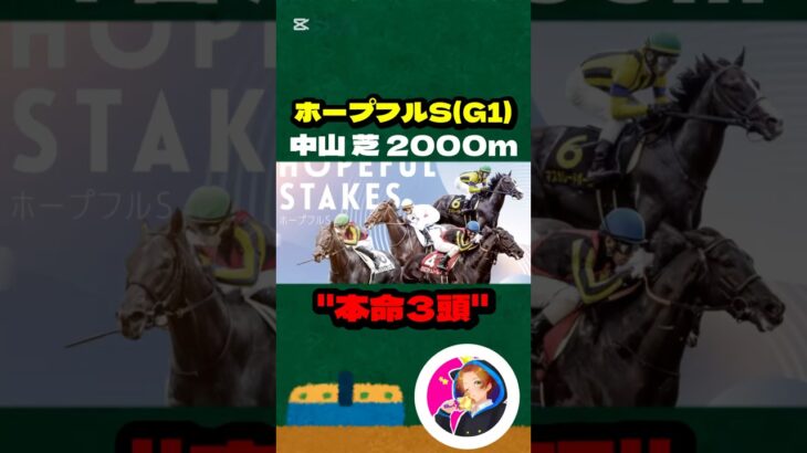 【ホープフルS(G1)】”本命3頭”#競馬 #競馬予想 #ホープフルS #ホープフルステークス #クロワデュノール #マスカレードボール #マジックサンズ #ピコチャンブラック #アマヒキ